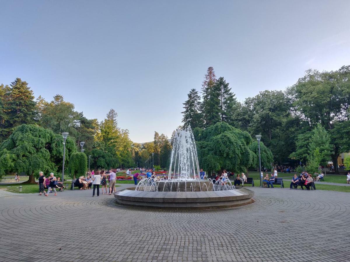 Hotel Fontana Vrnjačka Banja Exteriér fotografie